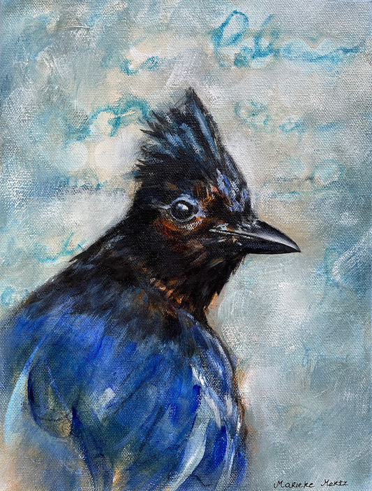 Steller's Jay bird as part of Urban Wildlife Art Collection