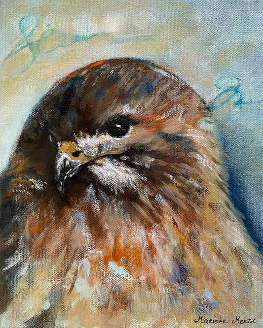 Red Tailed Hawk Original Wildlife Painting Side Eye