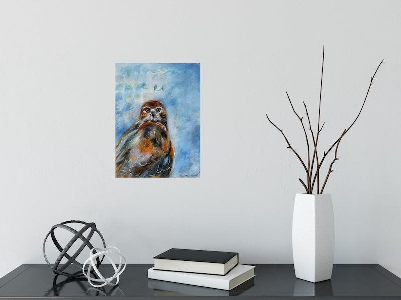 Red Tailed Hawk Raising Eyebrows Original Bird Painting
