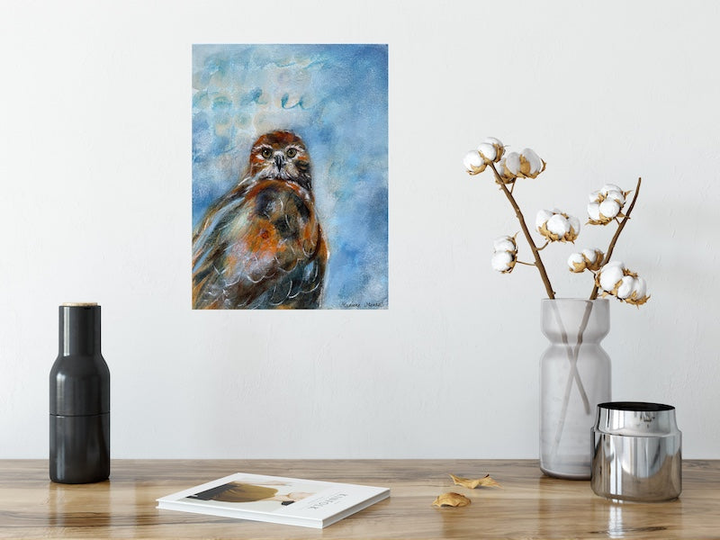 Red Tailed Hawk Raising Eyebrows Original Bird Painting