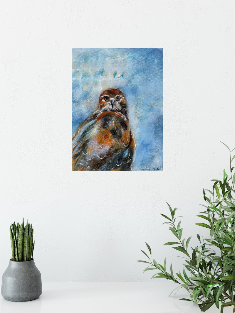 Red Tailed Hawk Raising Eyebrows Original Bird Painting