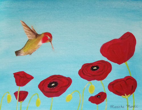 Painting on paper of a male Anna's hummingbird hovering over a field of bright red poppies.