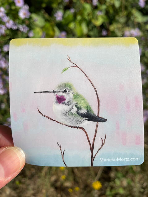 Hummingbird Vinyl Sticker
