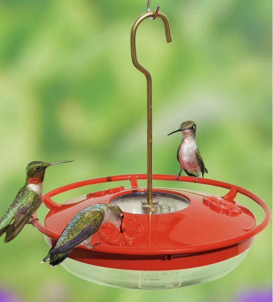 Aspects Mini Hummingbird Feeder